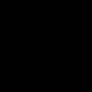 Meet your Posher, Pedro